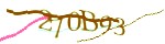 Mã bảo mật