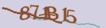 Mã bảo mật