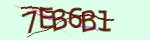 Mã bảo mật